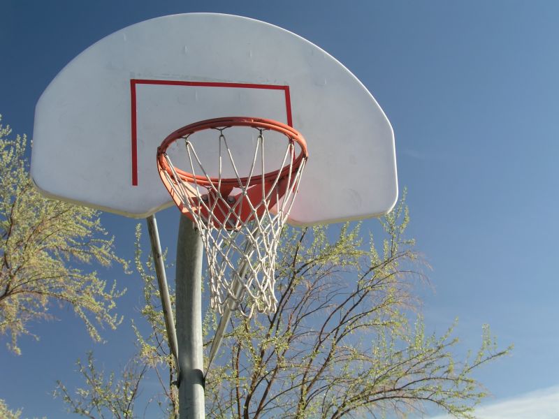 Basketball Goal Repair in Longmont, CO