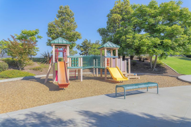 Jungle Gym Installation in Conroe, TX